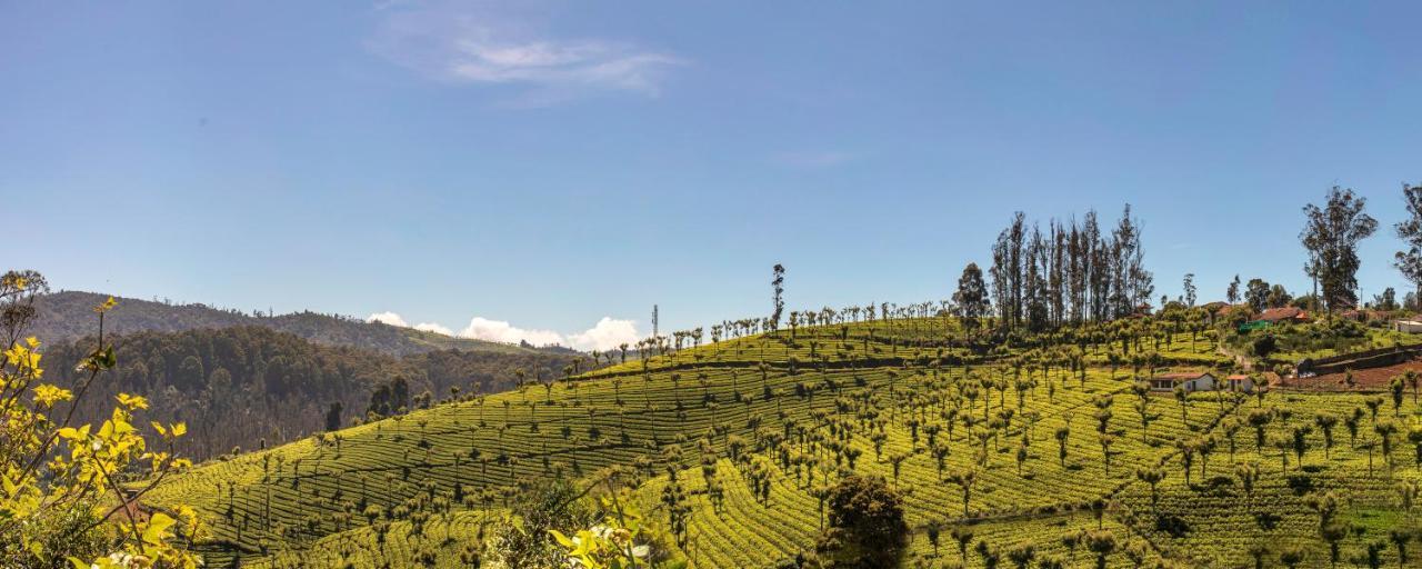 Club Mahindra Derby Green, Ooty Hotel Exterior foto